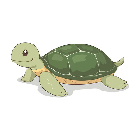 Illustration of a cute turtle on a white background. Vector illustrationのイラスト素材