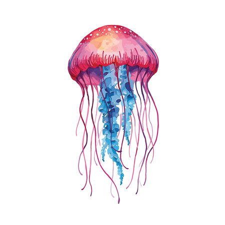 Colorful jellyfish isolated on a white background. Vector illustration.のイラスト素材