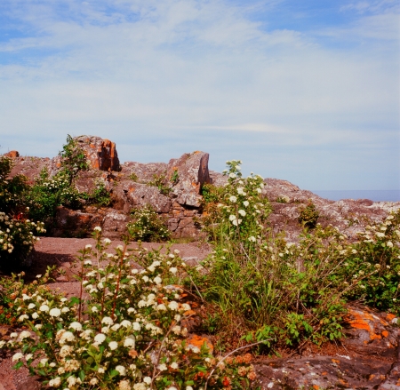 Baraga s Cross Wayside - Minnesotaの写真素材