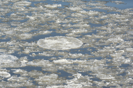Scattered ice fragments floating on Mississippi River.