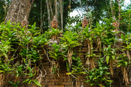 CHIANG MAI, THAILAND - 5/14/2015: A group of Buddha statues sit atop a wall at the jungle temple Wat Pha Lat.のeditorial素材