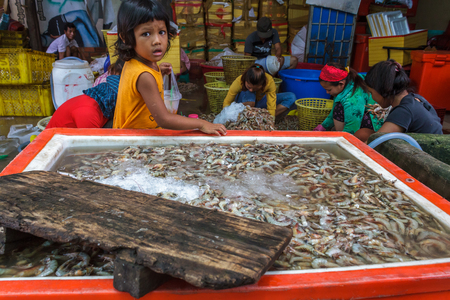 SIHANOUKVILLE, CAMBODIA - 7/20/2015: A young girl watches as others sort through shrimp brought in by fishermen in a fishing village.のeditorial素材