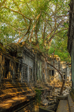 Beng Mealea temple ruins covered in trees and roots in the jungle near Siem Reap, Cambodia.のeditorial素材