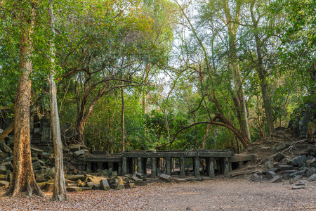 Beng Mealea ancient temple ruins in the jungle near Siem Reap, Cambodia.のeditorial素材