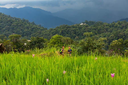 CHIANG MAI, THAILAND - 9/14/2017: Two village boys at the Mon Chaem mountain flower garden in Chiang Mai, Thailand.のeditorial素材