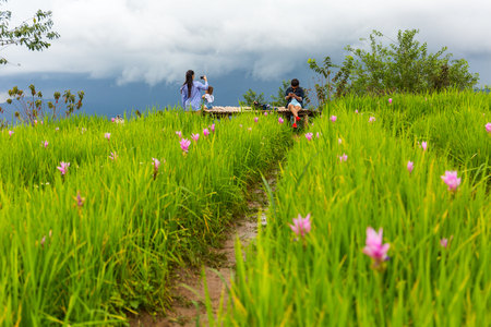 CHIANG MAI, THAILAND - 9/14/2017: Tourists at the Mon Chaem mountain flower garden in Chiang Mai, Thailand.のeditorial素材
