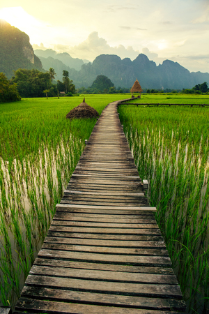Mountain sunset and green rice fields in Vang Vieng, Laosの写真素材