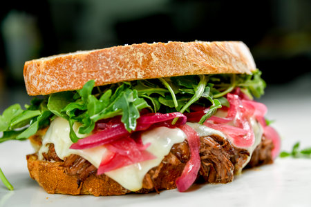 Pulled pork sandwich with arugula and pickled onions, close-up viewの写真素材