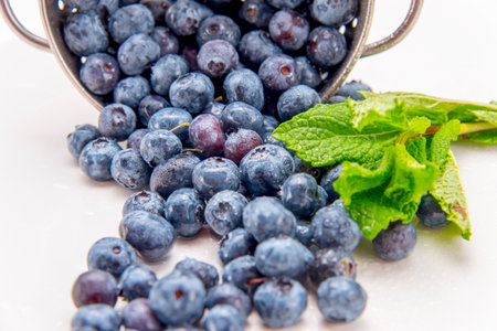 Blueberries with mint on white backgroundの写真素材