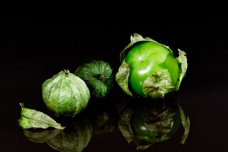 Fresh tomatillos isolated on a black background