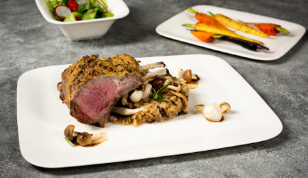 Lamb angle view plated with carrots, wild rice and saladの写真素材