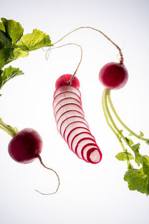 Fresh red raddish sliced and rooted on white backgroundの写真素材