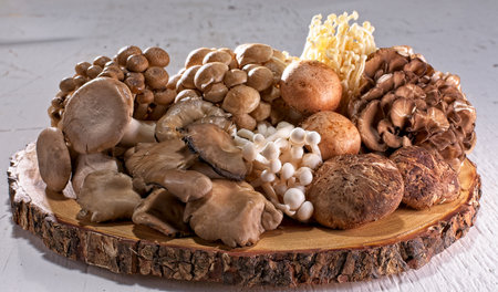 Variety of mushrooms on wooden plateの写真素材