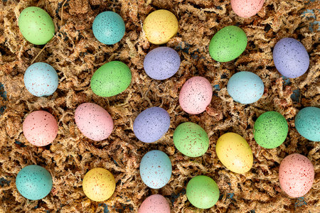 Multicolored easter eggs isolatedの写真素材