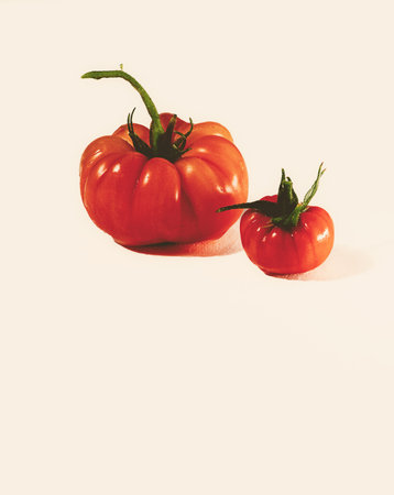 Two fresh tomatoes on a white backgroundの写真素材