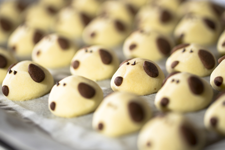 Chinese New Year cookie year of the dogの写真素材