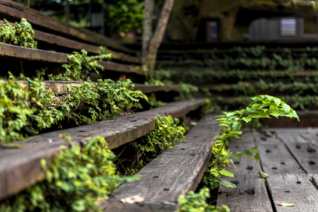 Traditional malay house design and pattern making use lots of timber wooden materialsの写真素材
