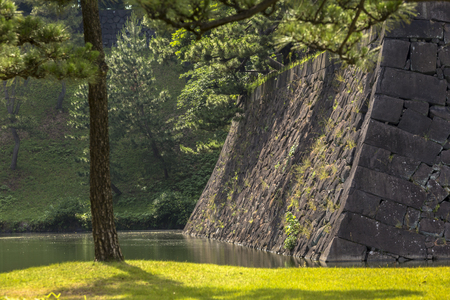 Beautiful and captivating view from the gardens  in Tokyo Japanの写真素材