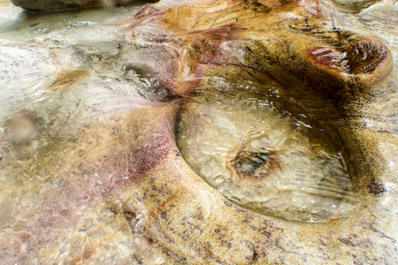 Macro close up of texture and pattern found on rocky beach side