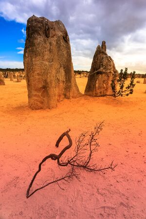 The Pinnacles are limestone formations within Nambung National Park, near the town of Cervantes, Western Australiaの写真素材