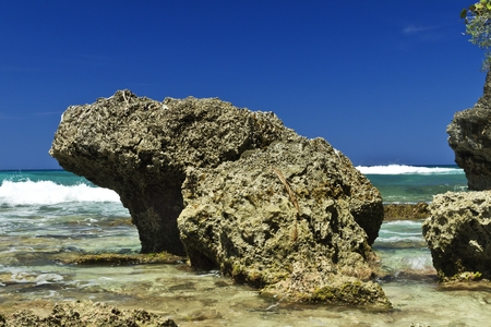 Frog shaped rock on beach in Dominican Republicの写真素材