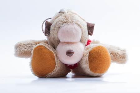 Monkey Loveの写真素材