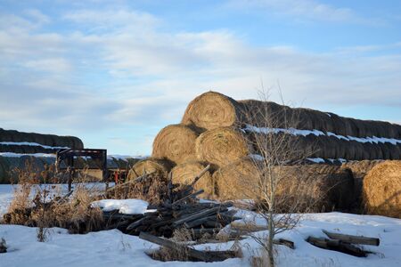 Large Stacks of Hay Bails on a Snowy Farm Field in Winterの写真素材