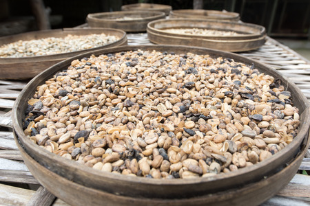 coffee beanの写真素材