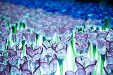 Colorful Growing Glass Flower