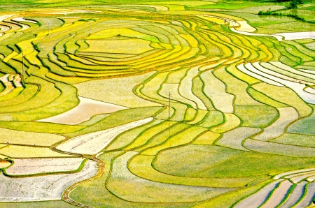 Gold rice terraces of Baping,Nandan,Hechi,Guangxi, China の写真素材