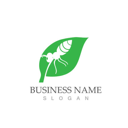 Ant Logo template vector illustration designのイラスト素材