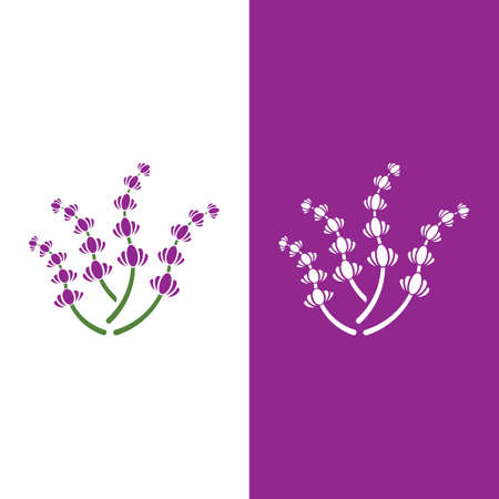 Fresh Lavender flower logo vector flat designのイラスト素材