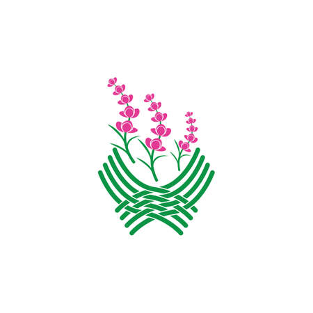 Fresh Lavender flower logo vector flat designのイラスト素材