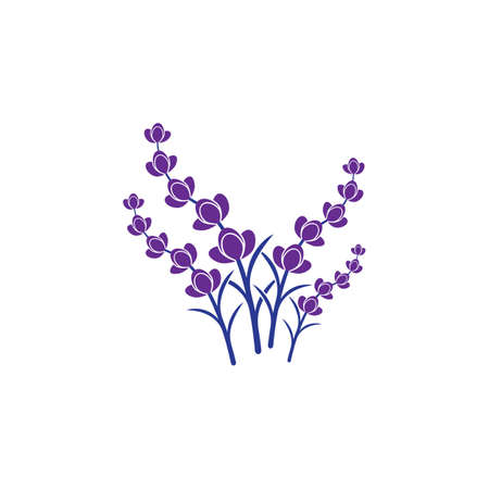 Fresh Lavender flower logo vector flat designのイラスト素材