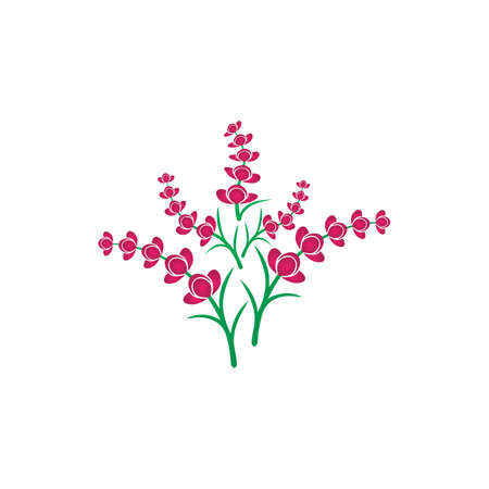 Fresh Lavender flower logo vector flat designのイラスト素材