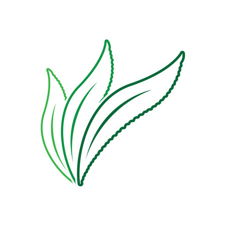 Aloe Vera logo icon design symbol beauty skin careのイラスト素材