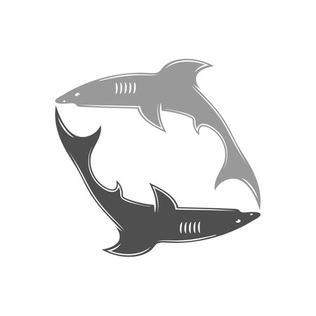Shark illustration logo template vectorのイラスト素材