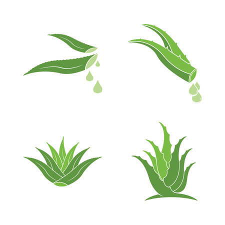 Aloe Vera logo icon design symbol beauty skin careのイラスト素材