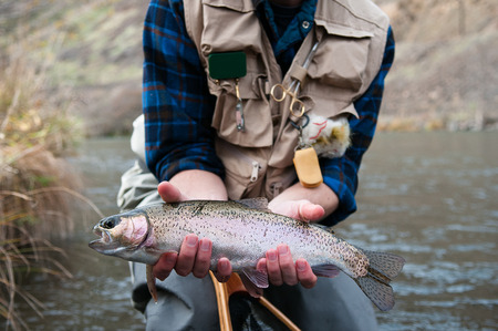 Rainbow Trout caught and held by anglerの写真素材