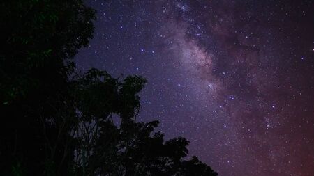 The Milky Way and some big trees, In The rice fields in the rainy season Thailand