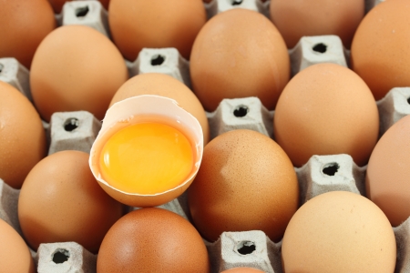 Fresh egg in egg trayの写真素材