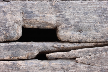 Texture of old wood with hole for backgroundの写真素材