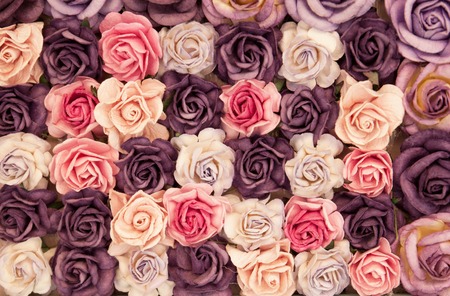 Roses backgroundの写真素材