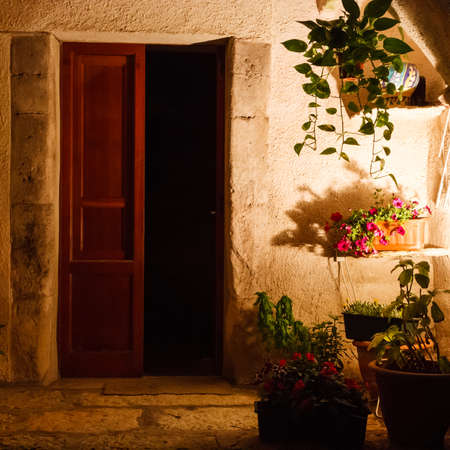 An open door and plants in a small courtyard at nightの写真素材