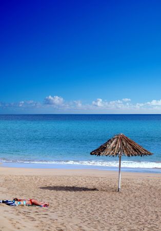 Alone in the beachの写真素材