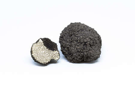 black truffle, tuber aestivum, white backgroundの写真素材