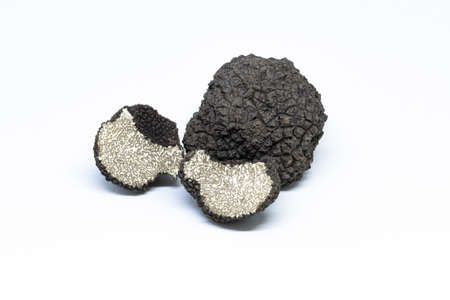 black truffle, tuber aestivum, white backgroundの写真素材