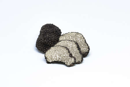 black truffle, tuber aestivum, white backgroundの写真素材