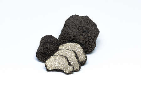 black truffle, tuber aestivum, white backgroundの写真素材