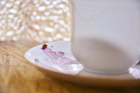Charming Encounter: Ladybug on Tea Cup and Saucerの写真素材